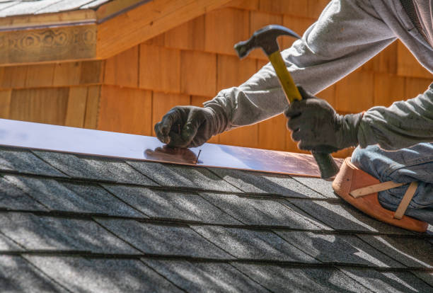 Best Solar Panel Roofing Installation  in Ecorse, MI