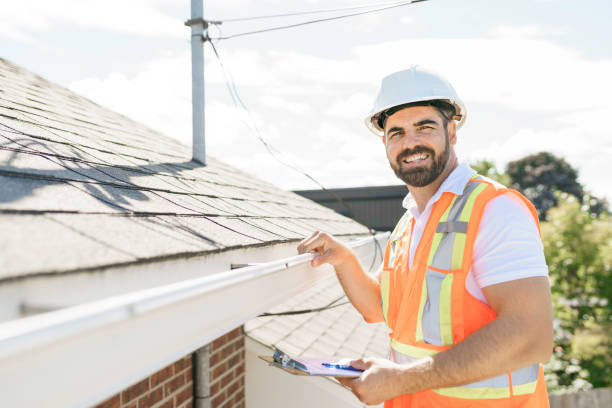 Best Chimney Flashing Repair  in Ecorse, MI