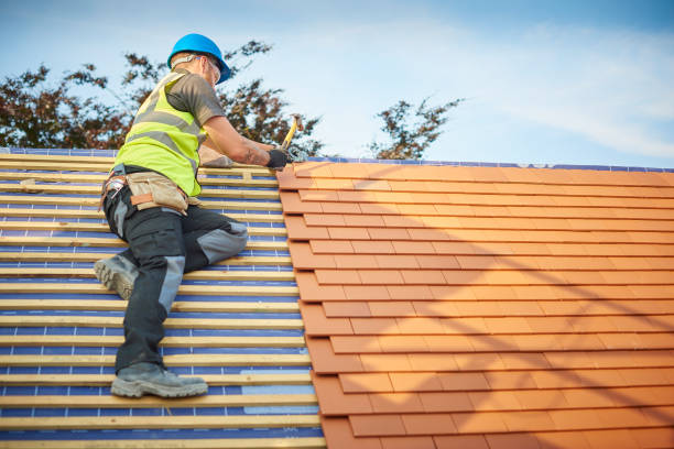 Best Roof Ventilation Installation  in Ecorse, MI