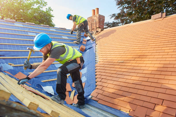 Best Roof Moss and Algae Removal  in Ecorse, MI